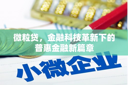 湖南微粒贷，金融科技革新下的普惠金融新篇章