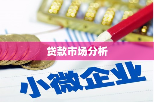 湖南贷款市场分析