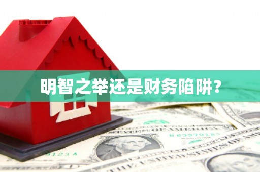 湖南明智之举还是财务陷阱？