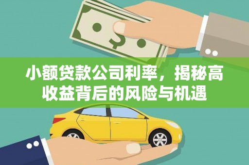 湖南小额贷款公司利率，揭秘高收益背后的风险与机遇