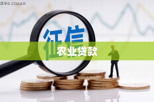 湖南农业贷款