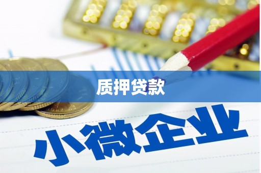 湖南质押贷款