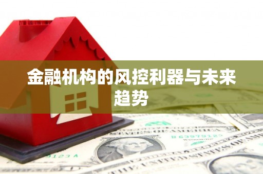 湖南金融机构的风控利器与未来趋势