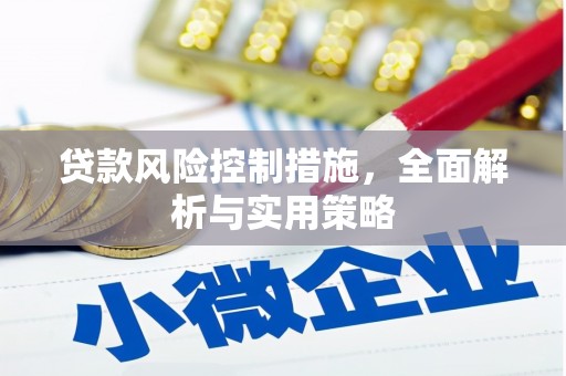 湖南贷款风险控制措施，全面解析与实用策略