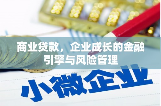 湖南商业贷款，企业成长的金融引擎与风险管理