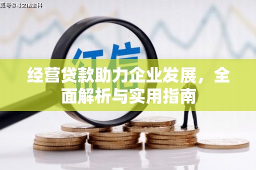 湖南经营贷款助力企业发展，全面解析与实用指南