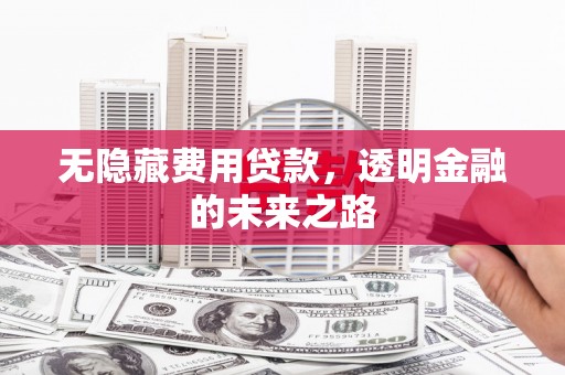 湖南无隐藏费用贷款，透明金融的未来之路