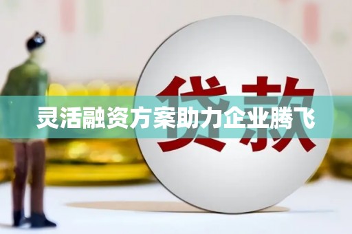 湖南灵活融资方案助力企业腾飞
