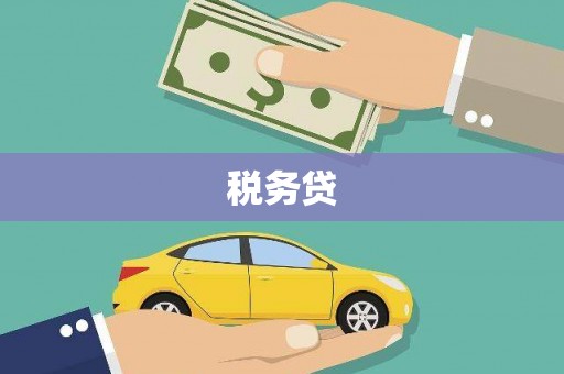 湖南税务贷