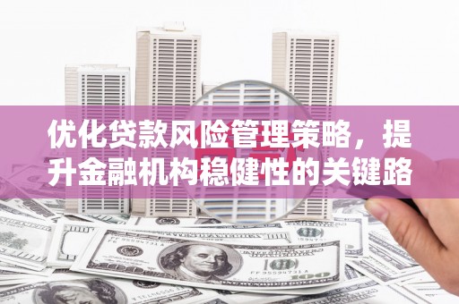 湖南优化贷款风险管理策略，提升金融机构稳健性的关键路径