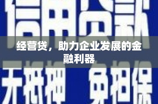 湖南经营贷，助力企业发展的金融利器
