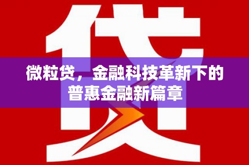 湖南微粒贷，金融科技革新下的普惠金融新篇章
