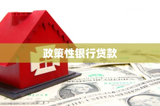湖南政策性银行贷款