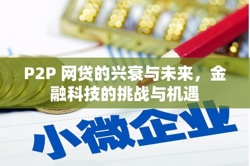 湖南P2P 网贷的兴衰与未来，金融科技的挑战与机遇
