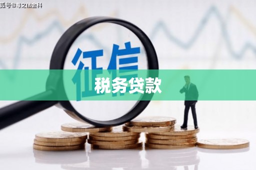 湖南税务贷款