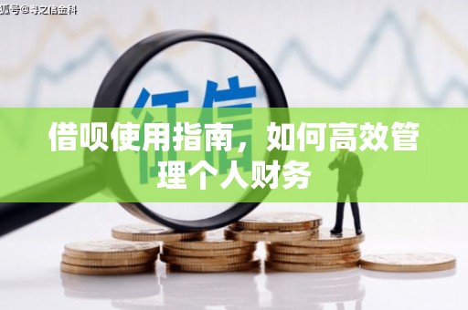 湖南借呗使用指南，如何高效管理个人财务