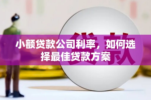湖南小额贷款公司利率，如何选择最佳贷款方案