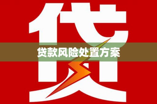 湖南贷款风险处置方案