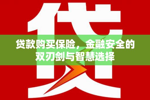 湖南贷款购买保险，金融安全的双刃剑与智慧选择