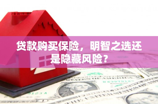 湖南贷款购买保险，明智之选还是隐藏风险？