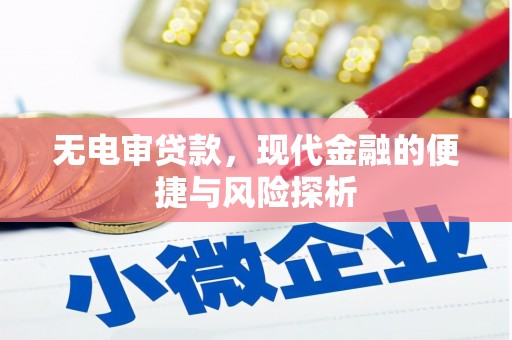 湖南无电审贷款，现代金融的便捷与风险探析