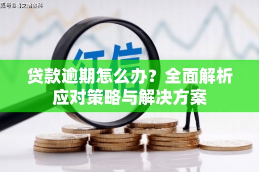 湖南贷款逾期怎么办？全面解析应对策略与解决方案