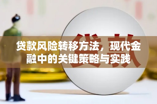湖南贷款风险转移方法，现代金融中的关键策略与实践
