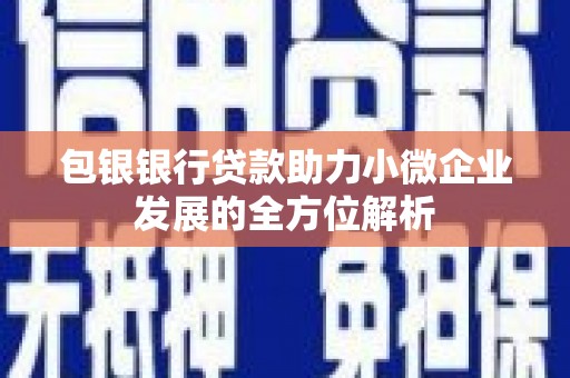 湖南包银银行贷款助力小微企业发展的全方位解析