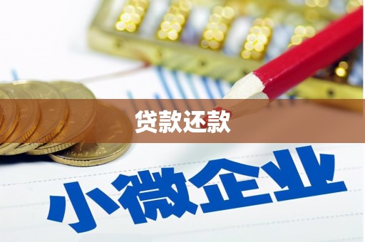 湖南贷款还款