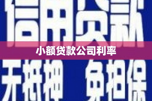湖南小额贷款公司利率