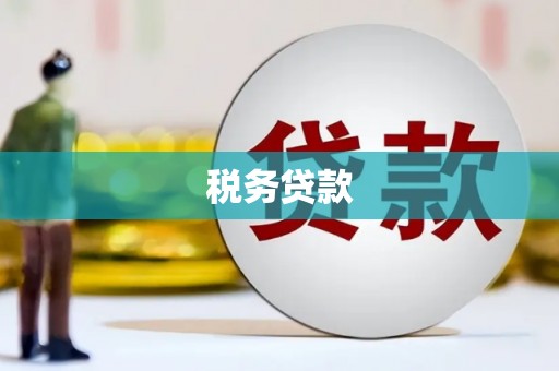 湖南税务贷款