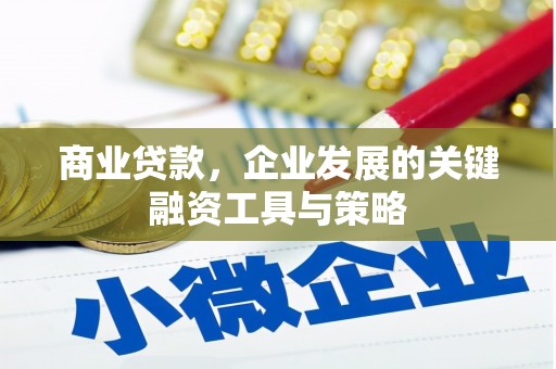 湖南商业贷款，企业发展的关键融资工具与策略