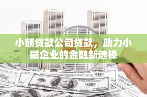 湖南小额贷款公司贷款，助力小微企业的金融新选择