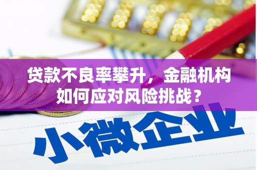 湖南贷款不良率攀升，金融机构如何应对风险挑战？