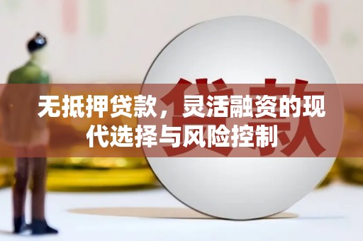 湖南无抵押贷款，灵活融资的现代选择与风险控制