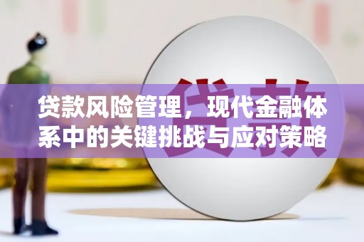 湖南贷款风险管理，现代金融体系中的关键挑战与应对策略
