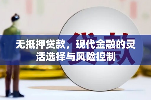 湖南无抵押贷款，现代金融的灵活选择与风险控制