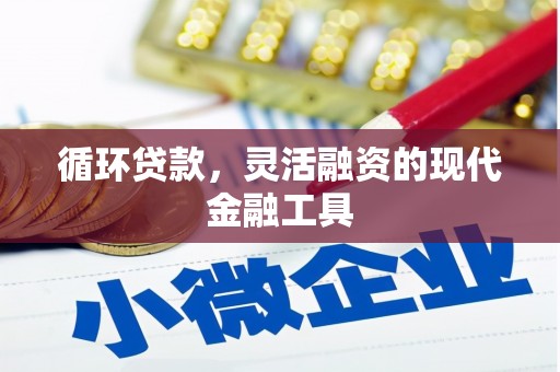 湖南循环贷款，灵活融资的现代金融工具