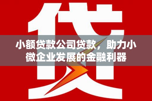 湖南小额贷款公司贷款，助力小微企业发展的金融利器