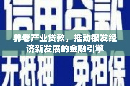 湖南养老产业贷款，推动银发经济新发展的金融引擎