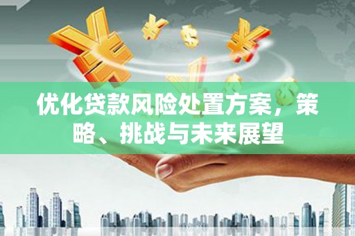湖南优化贷款风险处置方案，策略、挑战与未来展望