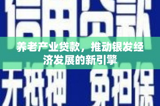 湖南养老产业贷款，推动银发经济发展的新引擎