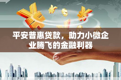 湖南平安普惠贷款，助力小微企业腾飞的金融利器