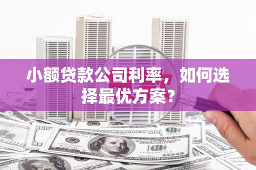湖南小额贷款公司利率，如何选择最优方案？