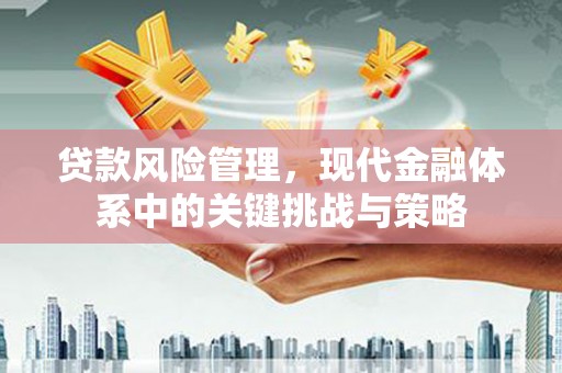 湖南贷款风险管理，现代金融体系中的关键挑战与策略