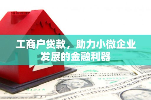 湖南工商户贷款，助力小微企业发展的金融利器