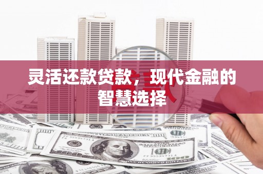 湖南灵活还款贷款，现代金融的智慧选择
