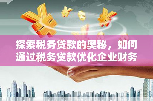 湖南探索税务贷款的奥秘，如何通过税务贷款优化企业财务