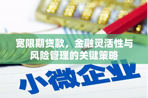湖南宽限期贷款，金融灵活性与风险管理的关键策略