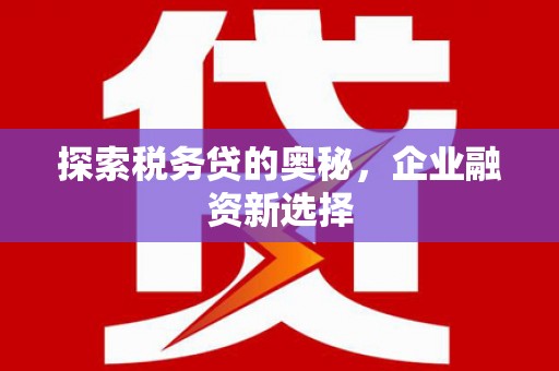 湖南探索税务贷的奥秘，企业融资新选择